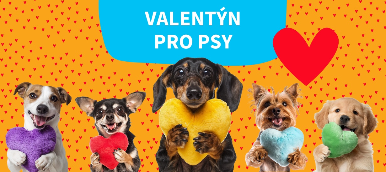 valentyn_psi